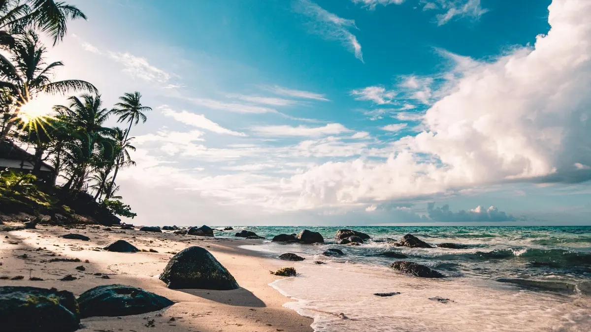 Advertiser Senegal: Ñu ko defar TikTok creators Uruguay ci event vlog yi?