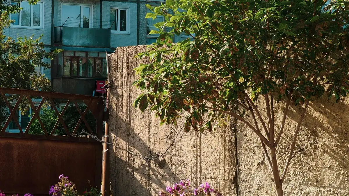 Senegal advertisers: Find Brazil Disney+ creators fast