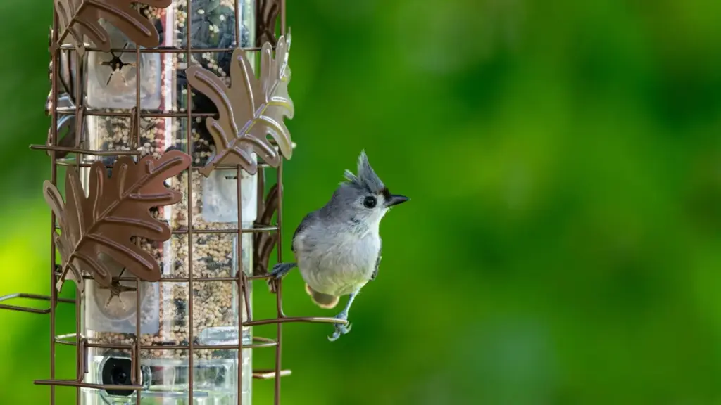 Daanal bu rafet te praktikal ci noppal créateurs Pinterest ci Laos, jox ndimbal yu am solo ngir deals fee fixe — stratégies, kanam, ak risks.