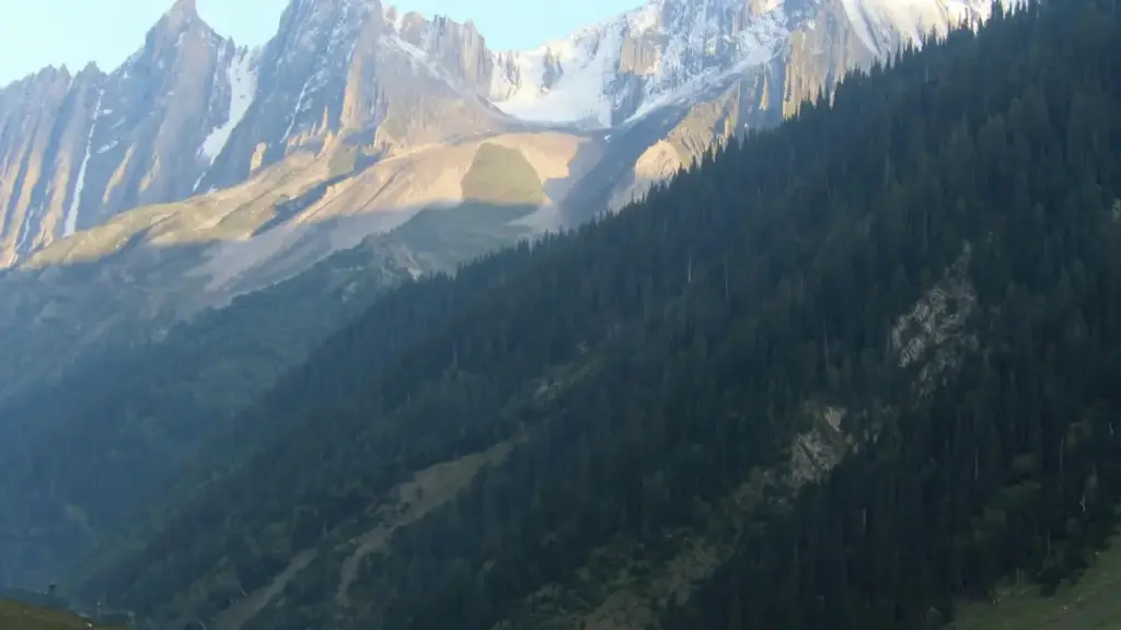 Jàngale lépp ci niñu ñàkk yokkute yi: léegi nit ku Senegal mën a togg creators Shopee Mexico ngir giveaway, taktiks practikal, ak làkk wu am solo.