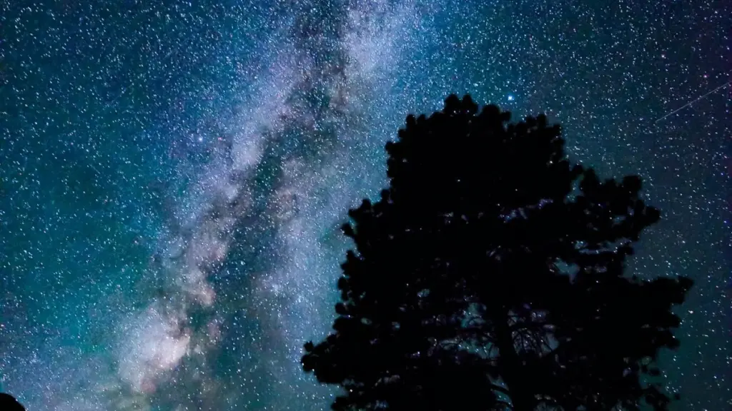 Jàngale ci woññi: njariñ yi ak techniques bu am solo ngen di wone Slovakia Discord creators ngir yokk skincare brands Senegal. Practical, local, ak strategies actionnables.