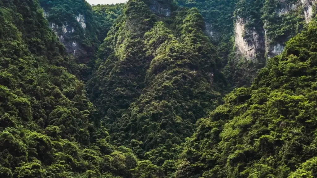 Nakkal bu rafet ci njàng Discord creators ci Slovakia, taktike yu practical ngir soppi visibility saa su ñu faral Senegal.