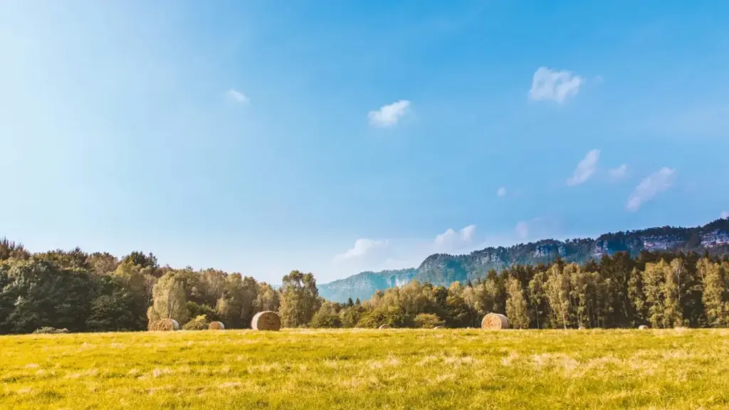 Jàng suñu doxalin: nuyu Roposo creators ci Slovenia ngir toppal brandu géej yi. Taktik, tools, ak nit ñi jëm ci audience yu wér.