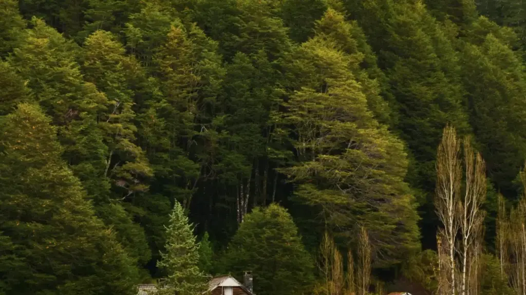 Jàngal bu téeméeri ngir yéene créateurs Twitter ci Espagne, taxawal PR pakéet, kontakt, vérifikasioon, te sellal collaborations.