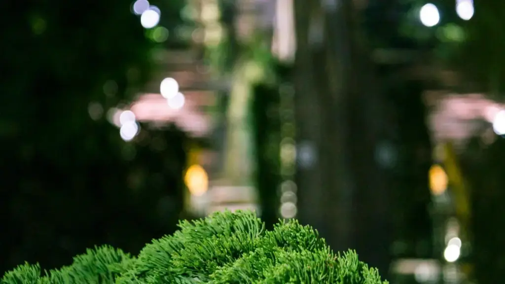 Ndax jàpp ci Armenia brand yi ci Discord ngir def reviews ci beauty ak skincare? Téere bu xam-xam, taktike yi, ak li ñu bokk ci marché yi — wër nga ci Senegal.