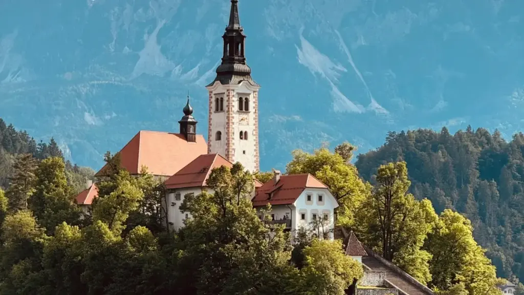 Suxali ci Wolof: Doonte nga doon sòbbal brand bu Bulgaari ci eBay, näkkal xelal ci media kit, ak jamono ji 2025.