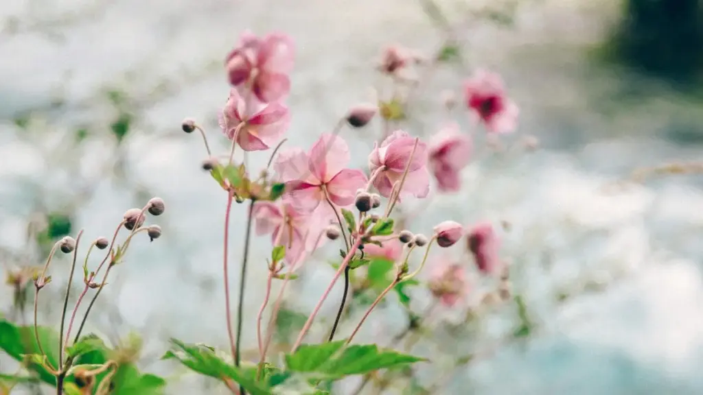 Léegi, jàng nañu ni creator Senegal waa, naka lañu noppal Jordan brands ci Spotify ngir demoon must-have items, yokk visibility ak partenariats.