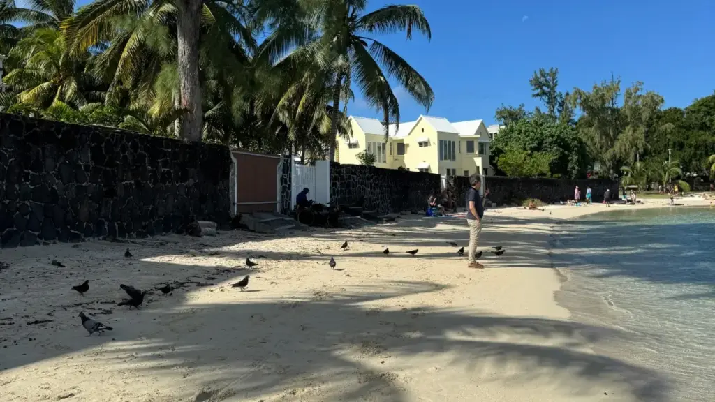 Njàng ni ñu gëna fay Hulu creators ci Repiblik Dominikàn ngir promocion saisonnières, taktiks locale, platformes, ak doxantu practical.