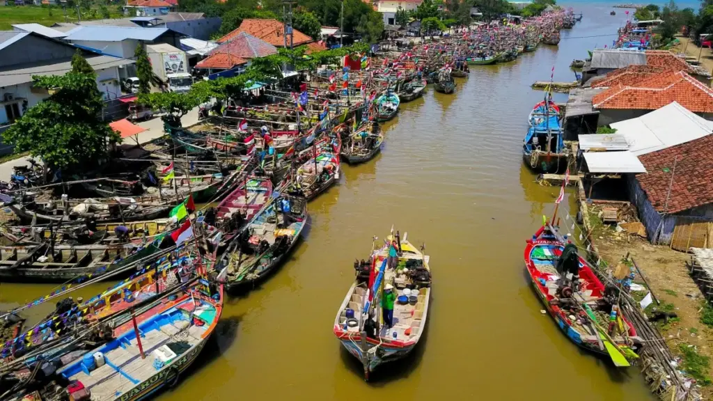 Njàngat ci taktike yi ngir waxtaan ak marques ci Puerto Rico ci vkontakte, diggante créateurs Senegal ak brands, ak ndimbal ci habbits salud.