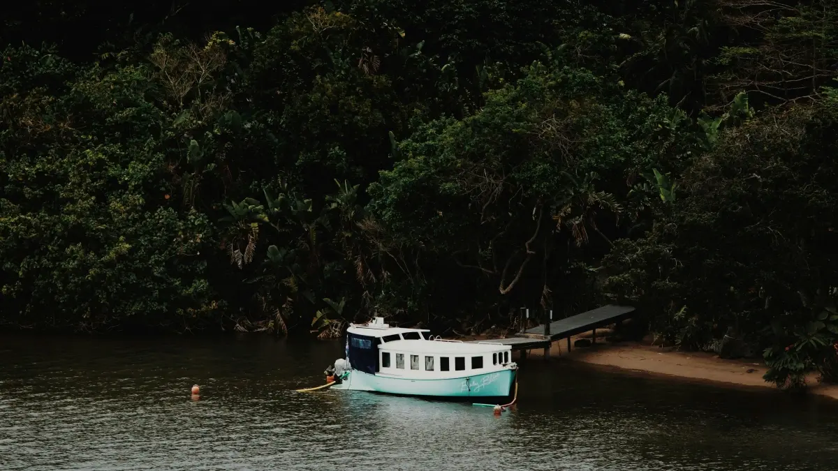 Kàddu gi: Nangu brand yu Dominican Republic ci Amazon