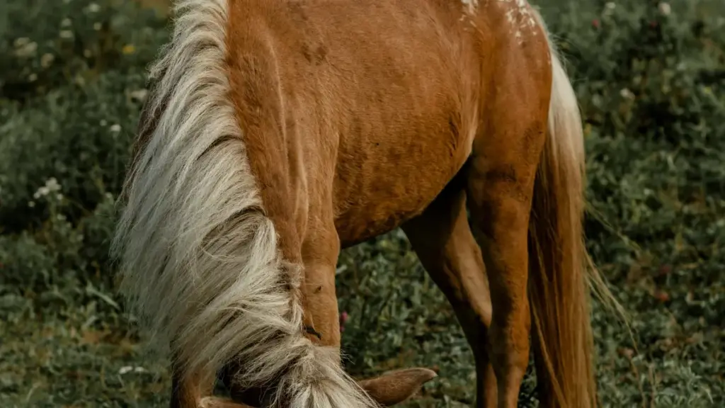 Jàngal ci strategiy yu pratic: ni créateurs Sénégal ci Amazon jaar nga brands Lituanie ngir yokk guides bi productivity, ak tips pratik, contact, negotiation ak tools.