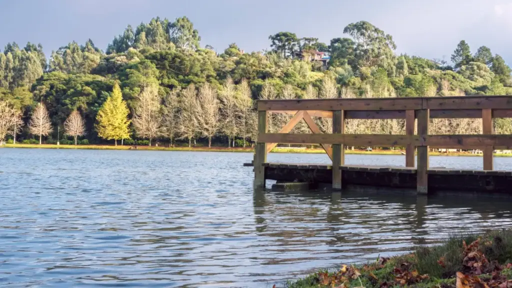 Jàngal lépp ci yokkute creator SoundCloud ci Bosnia-Herzegovina ngir yokk fitness challenges led by creators — ndimbal, sources, ak taktike practical yi.