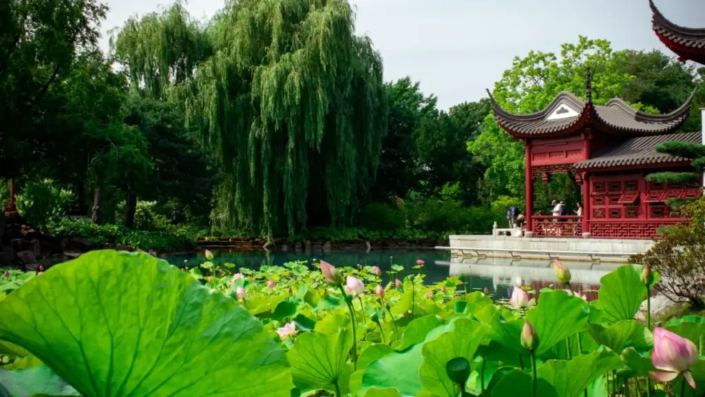 Ndimbal fastu ngir yéene suñu brand: nataal créateurs LinkedIn Suède, jàng ndimbal, jàpp jàmm ak reviews authentiques.