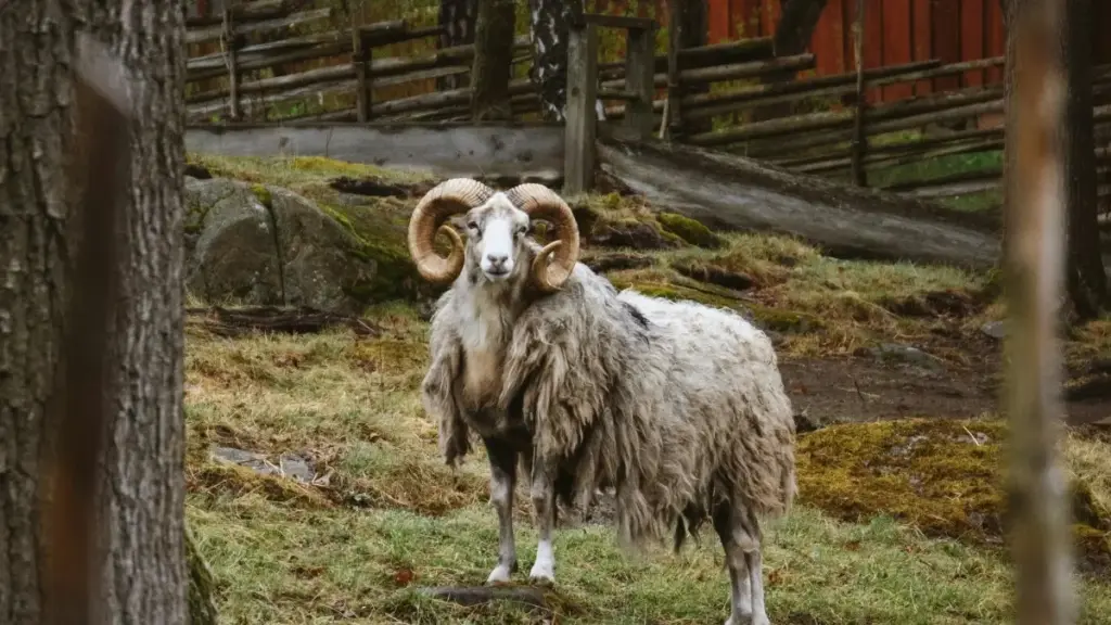 Ci wolof: Jàngal step-by-step bu benn ci Instagram ngir tàggat collaborations ak brands Misra, tips praktikal, contact hacks, ak ndaax-soppi trend muzik.