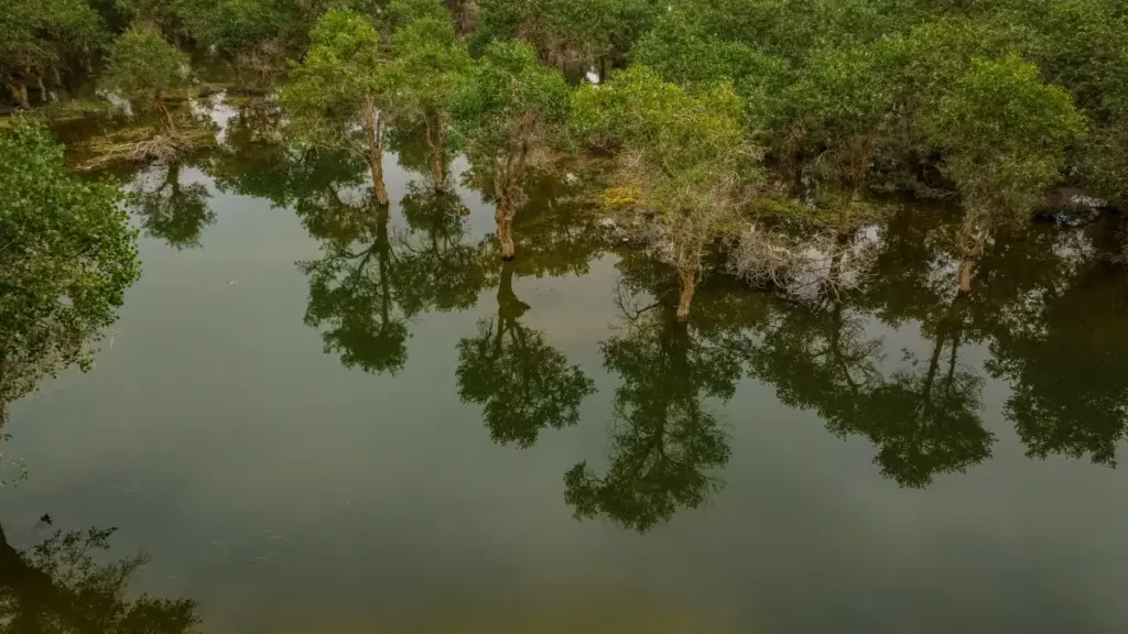 Ndogal yu réew mi: naka nga gën a bindale ak reach marques Slovaques ci WhatsApp, jël coowar ak monetiser channels yi — tips lokal, risques, ak plan ngir 2026.