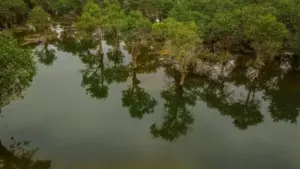 Ndogal yu réew mi: naka nga gën a bindale ak reach marques Slovaques ci WhatsApp, jël coowar ak monetiser channels yi — tips lokal, risques, ak plan ngir 2026.