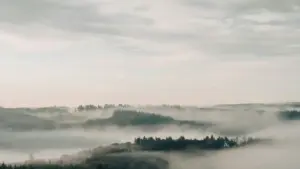 Ndimbal ak tips ci woññeeku creator-yu Netflix ci UAE ngir yokk sa clean beauty brand; strategy lokal, platform compare, ak MaTitie VPN suñu ndimbal.