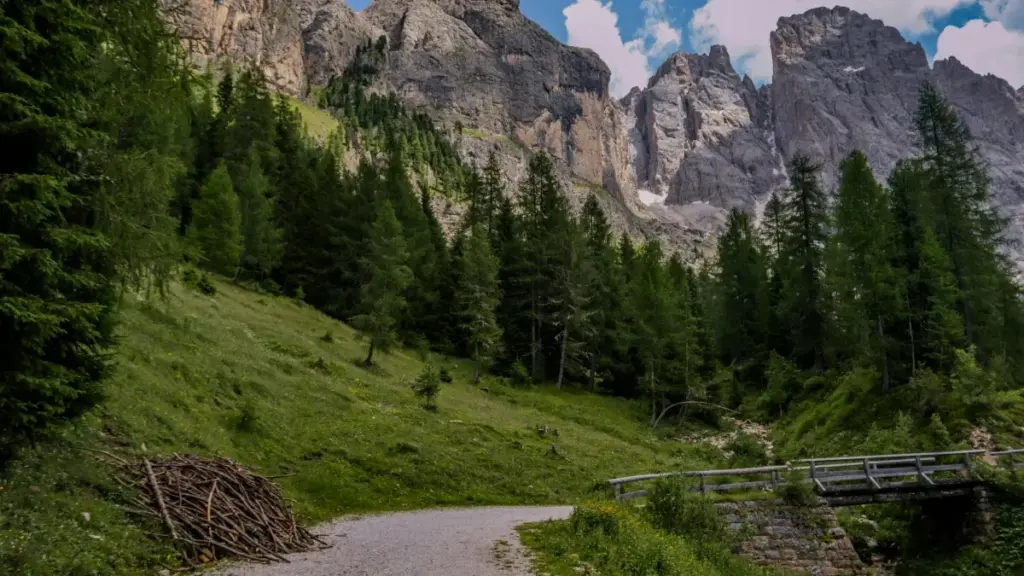 Jàngal ak taktike yu am solo ci gëstu ak sélection Zalo creators ci Lithuania ngir giveaway kampañ bi, ci Senegal. Nuyu xam-xam, wallu scam, ak jàmmu Lego 2026 event.