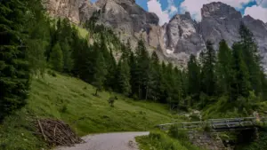 Jàngal ak taktike yu am solo ci gëstu ak sélection Zalo creators ci Lithuania ngir giveaway kampañ bi, ci Senegal. Nuyu xam-xam, wallu scam, ak jàmmu Lego 2026 event.