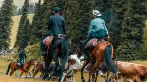 Jàng ci wolof beneen yoon: niñu def promo ak dance challenge yi ak creator Josh Uzbekistan, toolu platforms, workflows, ak risk management.