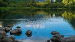 Jàng ak tips bu yàgg ci Wolof: nit ku nekk creator ci Senegal lu ngay def ngir gëna bindal Apple Music Costa Rica brands, yóbbu unboxing videos, ak tactiques locale.