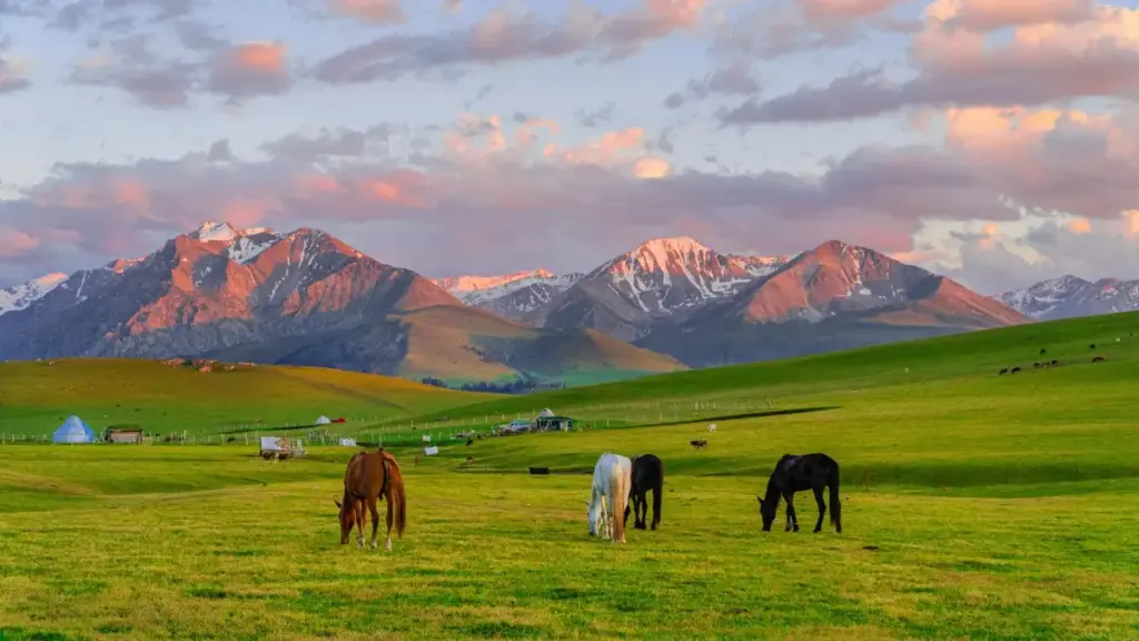 Jàngaleen ci Wolof ngir dalal brands Portugal ci Facebook, sàngu beta launches, tips pratiques, ak MaTitie VPN rekomandasyon.