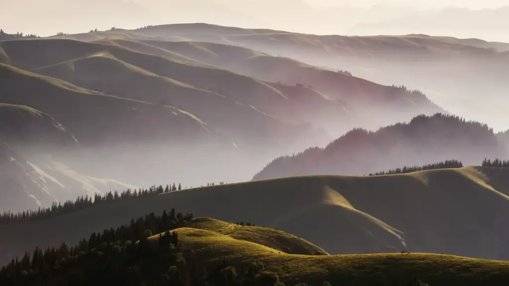 Jàng ci lépp nit ku nekki ci Sénégal yeneen njàngal yu xam-xam: niki ndoxal Shopee Venezuela, ndimbal brand, te xam ni mu mën nekk brand ambassador.