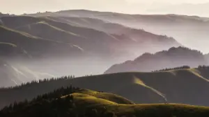 Jàng ci lépp nit ku nekki ci Sénégal yeneen njàngal yu xam-xam: niki ndoxal Shopee Venezuela, ndimbal brand, te xam ni mu mën nekk brand ambassador.