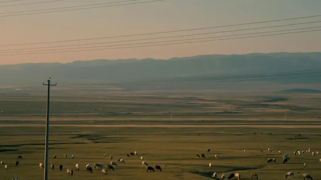 Yoo nekk creator ci Senegal, fii nga jàng ni lañuy wone Georgia brands ci Telegram, soppi ko ci deal, DM, ak branded travel vlog yu am solo.